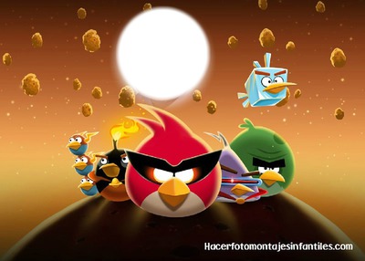 angry bird Photo frame effect
