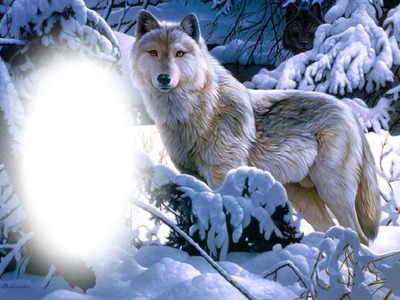 farkas a hóban Fotomontáž
