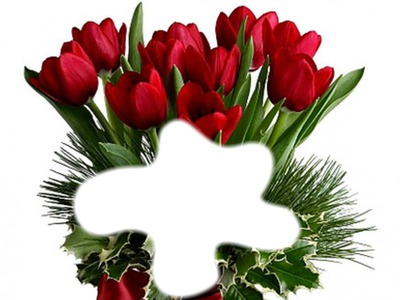 bouquet de tulipes Φωτομοντάζ