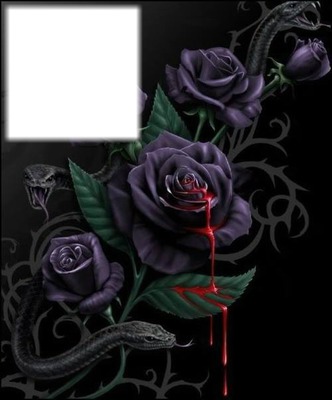 black roses Fotomontažas