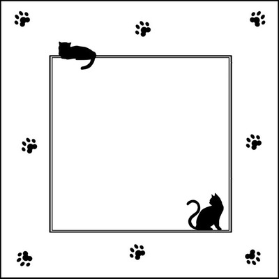 gatitos negros. Photo frame effect