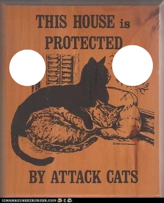 attack cats warning sign-hdh Fotomontaż