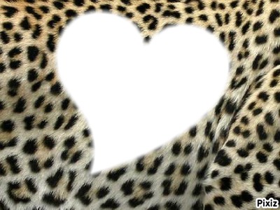 Leopard en coeur <3 Фотомонтажа