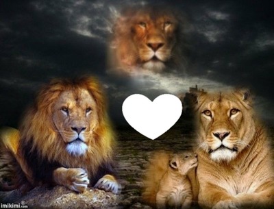 Lions Photo frame effect