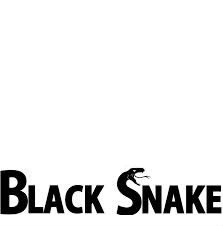 black snake Photo frame effect