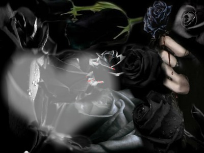 rosa negra Фотомонтажа