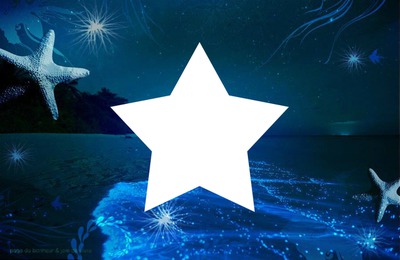 étoile de mer Fotomontagem