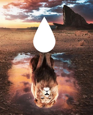 roi lion Photo frame effect