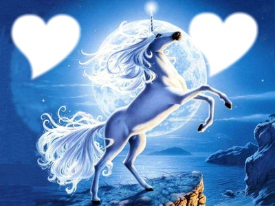 le cheval d amour Fotomontasje