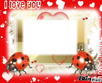 cadre coccinelle Photo frame effect