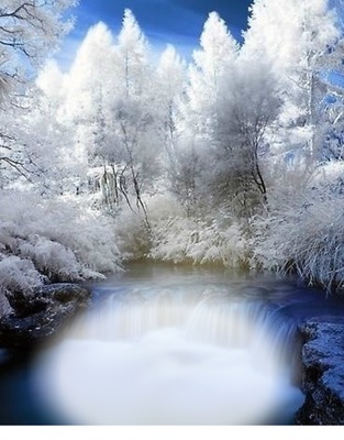 hiver Fotomontasje