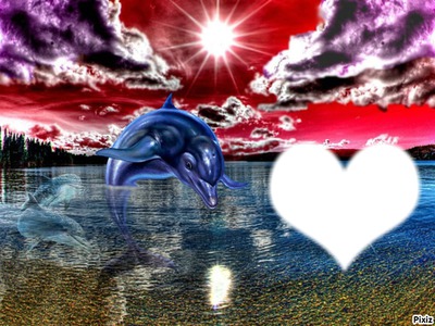 le dauphin Photomontage