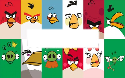 angry birds Fotomontage