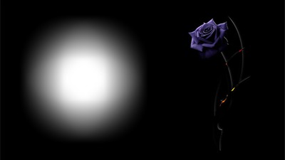 Purple Rose Fotomontaggio