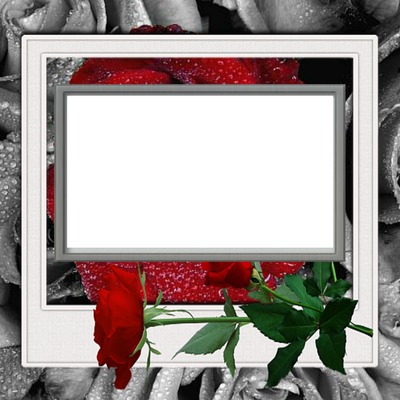 Dj CS Love Red Rose Photo frame effect