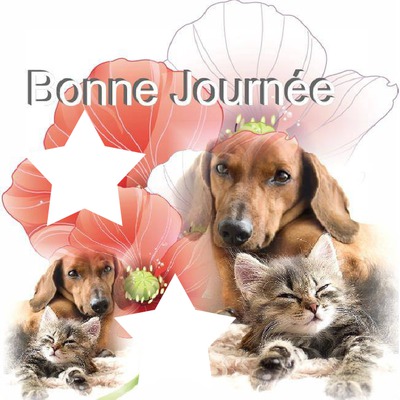 bonne journee Photo frame effect