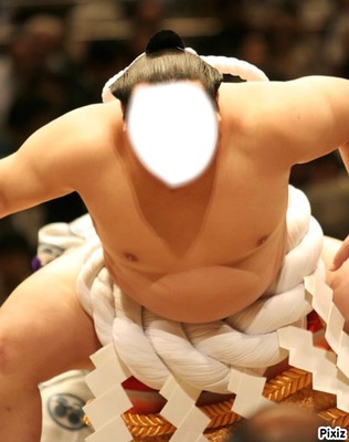 sumo ! Fotomontage