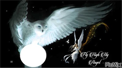 FLY HIGH MY ANGEL JM Montage photo