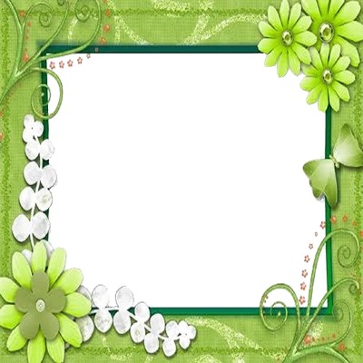 marco y flores verde. Montaje fotografico