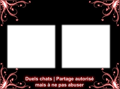 Duels chats Fotomontage
