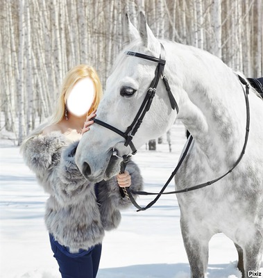 b:londe avec cheval blanc Fotoğraf editörü