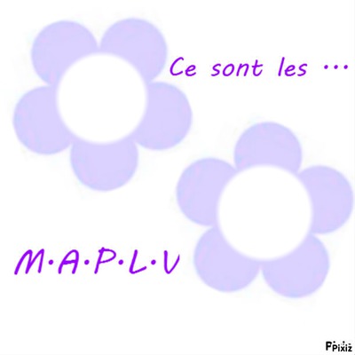 Fleur MAPLV !!! フォトモンタージュ