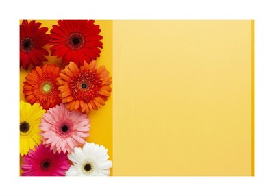 frame flower (full) Fotomontaggio