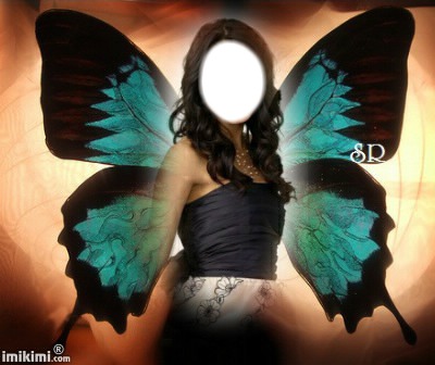 vlinder Fotomontage