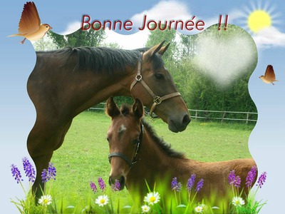 CHEVAUX Photo frame effect