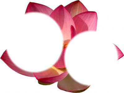 Fleur de lotus Fotomontažas