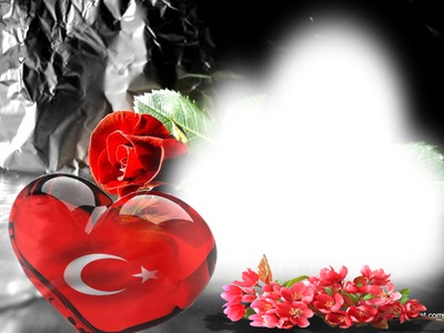 kalp türk bayrağı Fotomontasje
