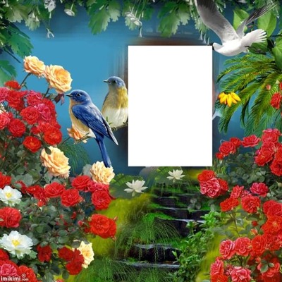 Fleurs-oiseaux Photomontage