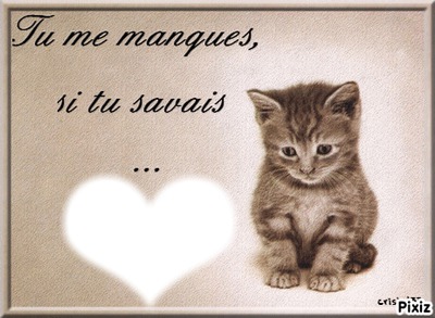 Tu me manque .... + un chat Fotomontažas