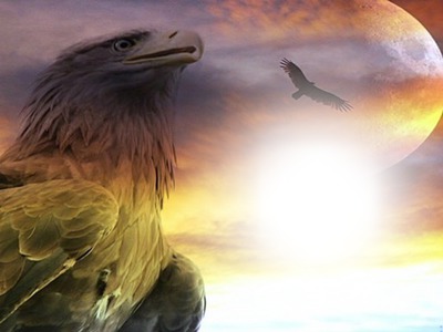spirit eagle Photo frame effect
