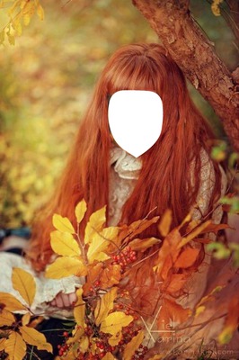 мисс Осень Photo frame effect
