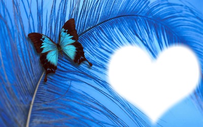 coeur papillon bleu Fotomontažas