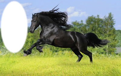 caballo Fotomontāža