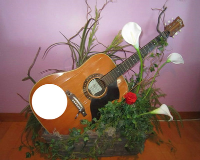 Guitare et fleurs フォトモンタージュ