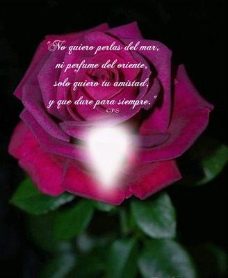 Cc bella rosa+texto de amistad Photo frame effect