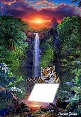 reflet du tigre Fotomontaggio