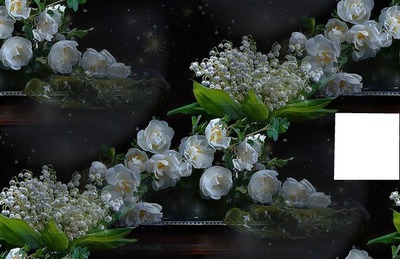 fleur Photomontage