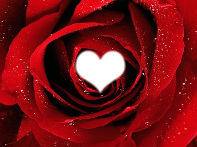 coeur de rose Fotomontage