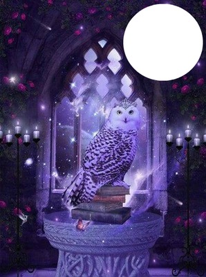 PURPLE OWL Photomontage