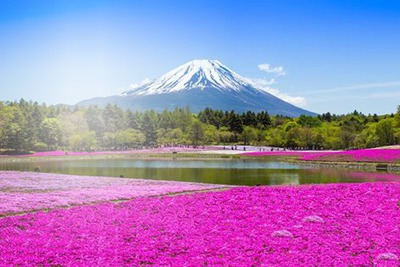 Volcan en lila Montaje fotografico