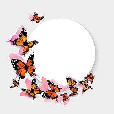 circulo y mariposas anaranjadas. Photo frame effect