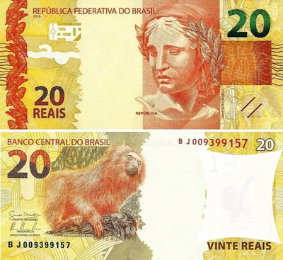 dinheiro do Brasil - 20 reais Fotomontasje