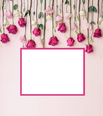 rosas colgantes, rosadas y fucsia. Fotomontage