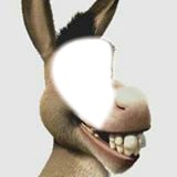 burro Fotomontage