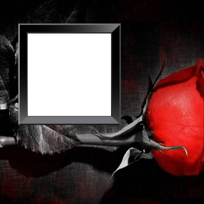 Dj CS Love rose Photomontage