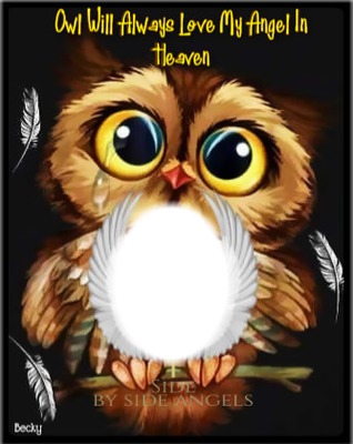 owl will always love you Photo frame effect